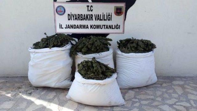 Diyarbakır da 280 Kilo Esrar Ele Geçirildi 2