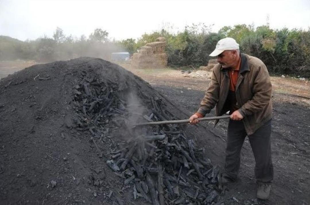 Mangalların Vaz Ge&ccedil;ilmezi K&ouml;m&uuml;r&uuml;n Meşekkatli Yolculuğu