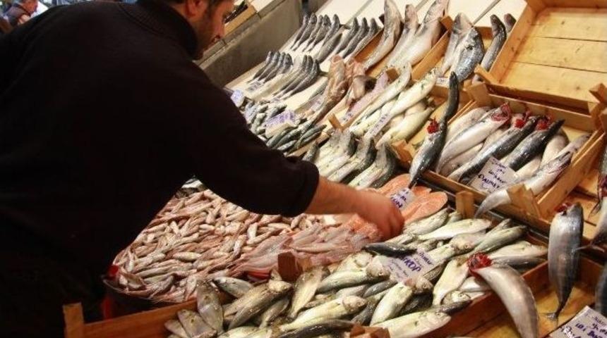 Ucuz Balığa H&uuml;cum Eden Vatandaş, Derin Dondurucuda Şoklayıp Stok Yapıyor