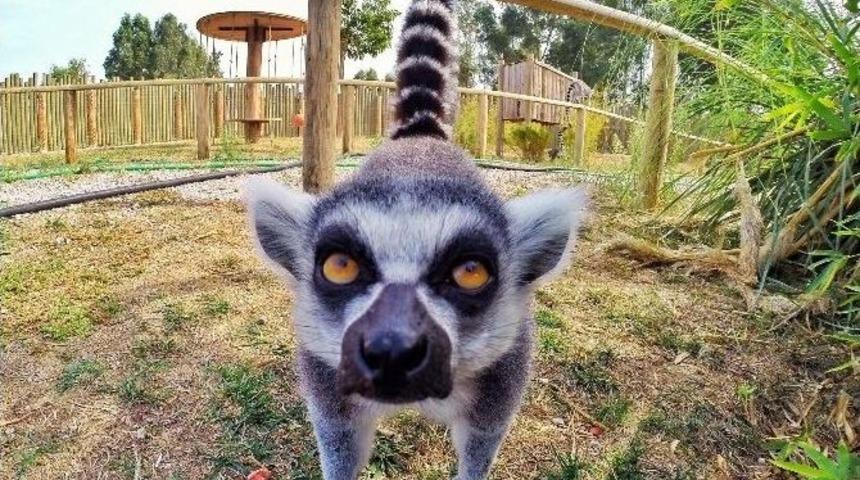 İzmir Doğal Yaşam Parkı&rsquo;nda Foto Safari