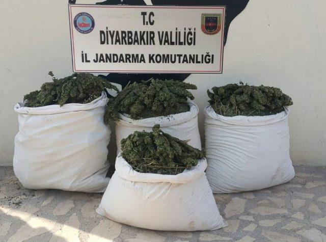Diyarbakır’da Uyuşturucu Operasyonu