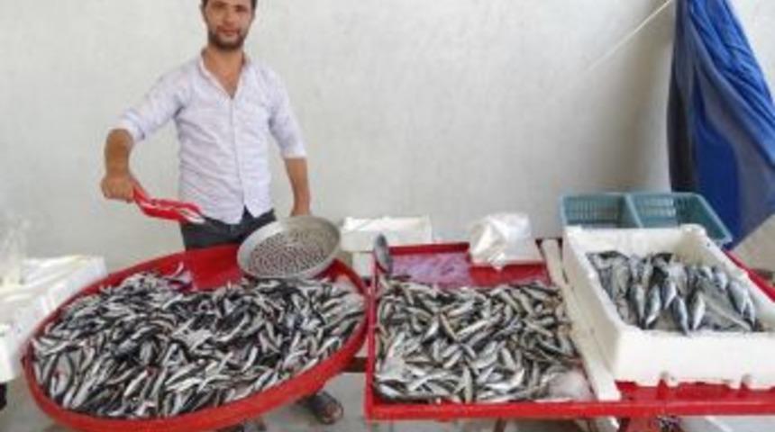 Balık Tezgahları Şenlendi