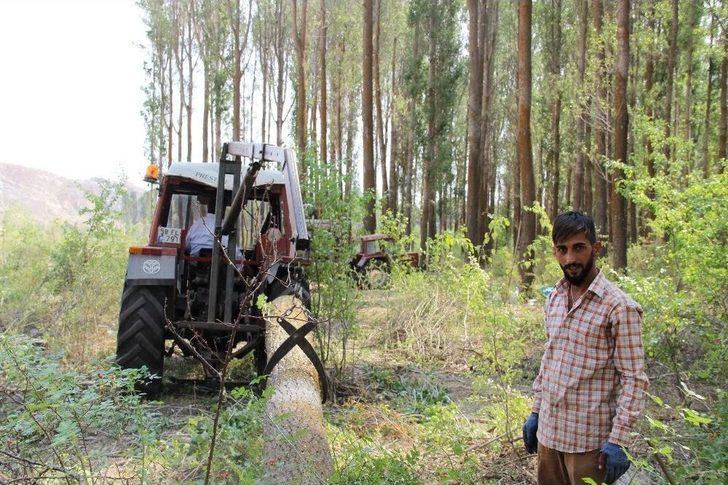Dedeler Ekiyor Torunlar Biçiyor. G3