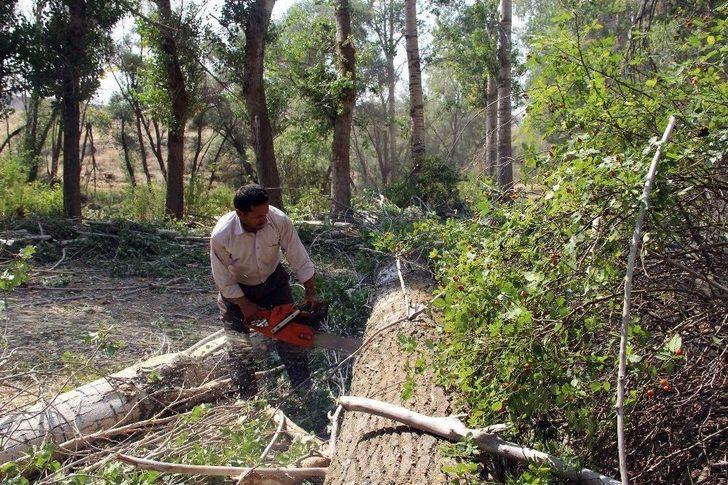 Dedeler Ekiyor Torunlar Biçiyor. G4