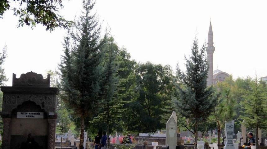 Mezarlıkta Kendini Ağaca Astı