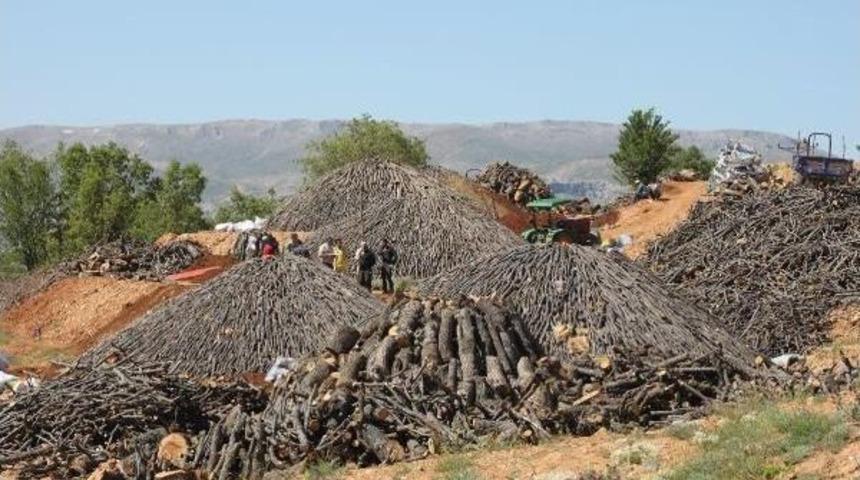 Ekmeklerini Mangal K&ouml;m&uuml;r&uuml; Yaparak Kazanıyorlar&nbsp;