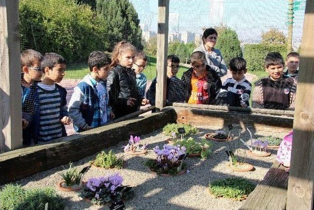 Bağcılar Bilgi Evi Öğrencileri Botanik Bahçesi’nde