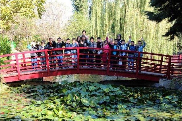 Bağcılar Bilgi Evi Öğrencileri Botanik Bahçesi’nde