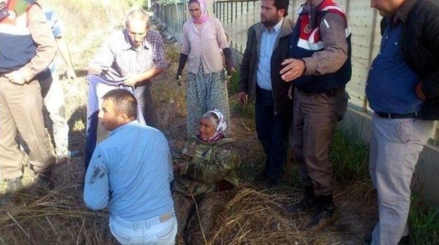 Bataklığa Saplanan Yaşlı Kadını İz Takip K&ouml;peği Buldu