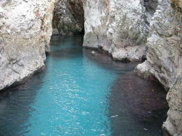 Kuşadası’nda Akdeniz Foku Görüntülendi