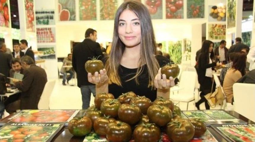 T&uuml;rkiye Tarım Sekt&ouml;r&uuml; Growtech Eurasıa Da Buluşuyor