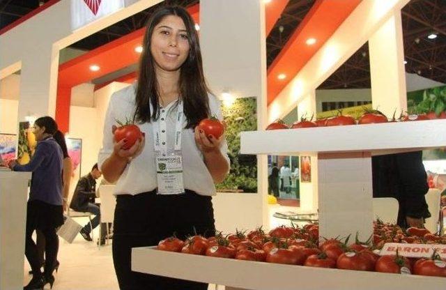 Türkiye Tarım Sektörü Growtech Eurasıa Da Buluşuyor