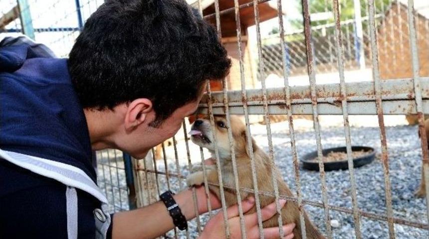 Liseli Gen&ccedil;ler Hayvan Barınağı Ziyaret Etti