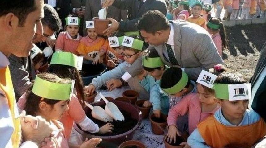 Meşe Palamudu Toprakla Buluştu