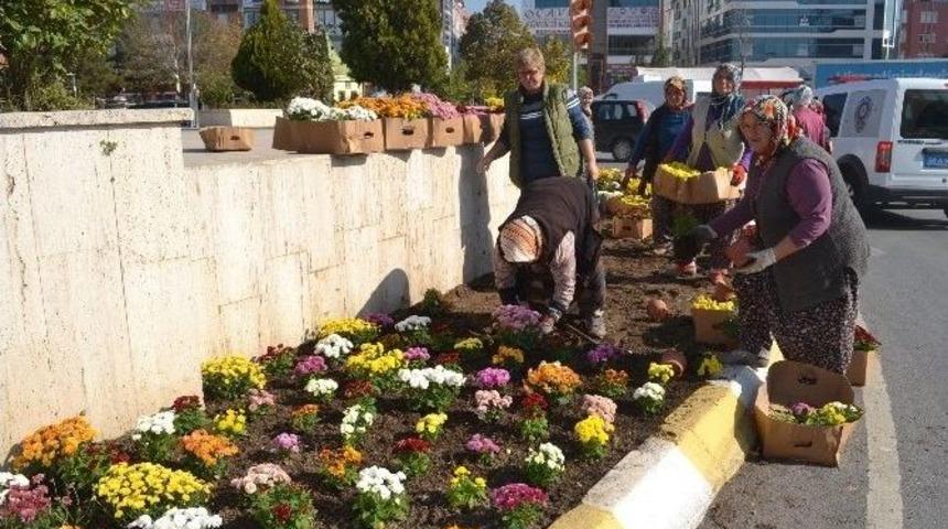 &Ccedil;erkezk&ouml;y &Ccedil;i&ccedil;ek A&ccedil;ıyor