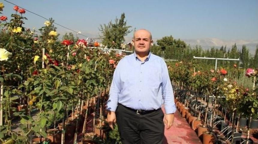 Ceviz Yetiştiriciliğinde Doğru Bilinen Yanlışlar