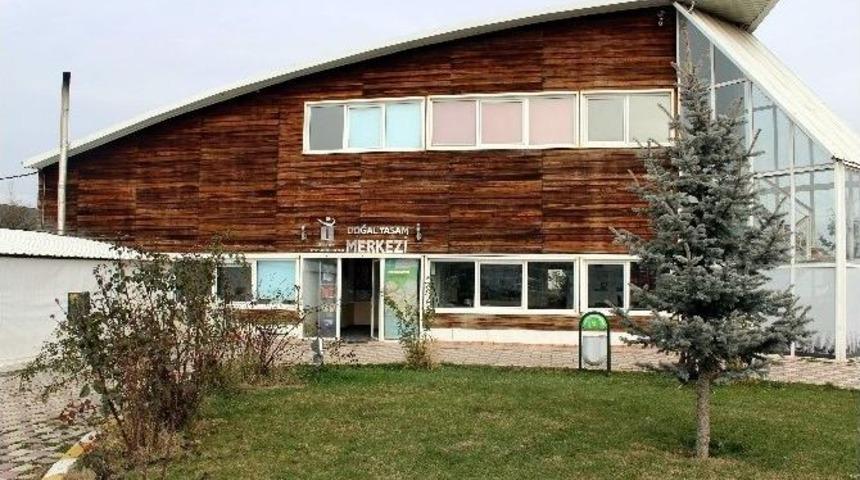 Hayvan Dostu Merkezi