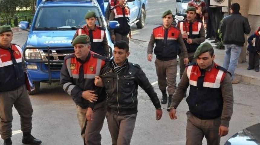 Otomobille Hayvan &Ccedil;alan Hırsızlar Adliyeye Sevk Edildi