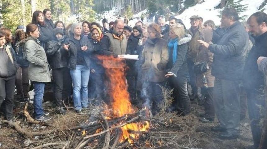 Artvin Cerattepe&rsquo;de Maden Sahasında Ağa&ccedil; Kesimine Tepki Eyleme D&ouml;n&uuml;şt&uuml;