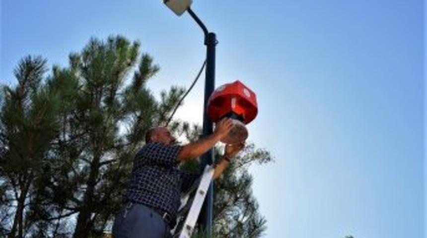 Tepebaşı Haşereleri G&ouml;zlemleyecek