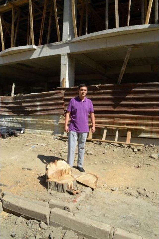 Keşan da Yol Genişletme &Ccedil;alışmasında Ağa&ccedil; Kesilmesine Tepki 2