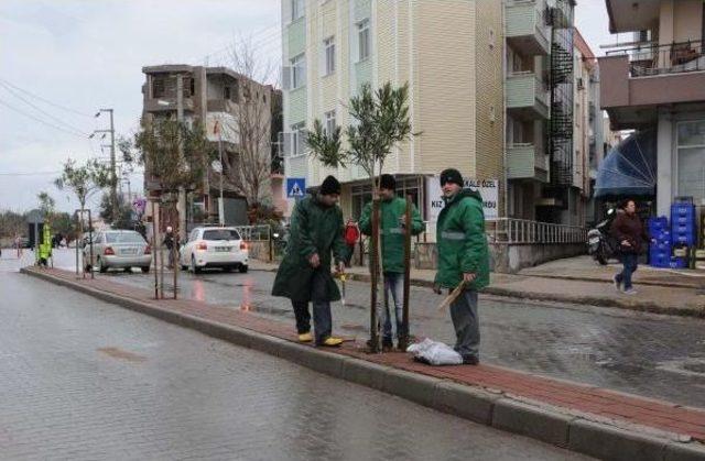 Çanakkale Deniz Ve Hava Ulaşımına Fırtına Engeli