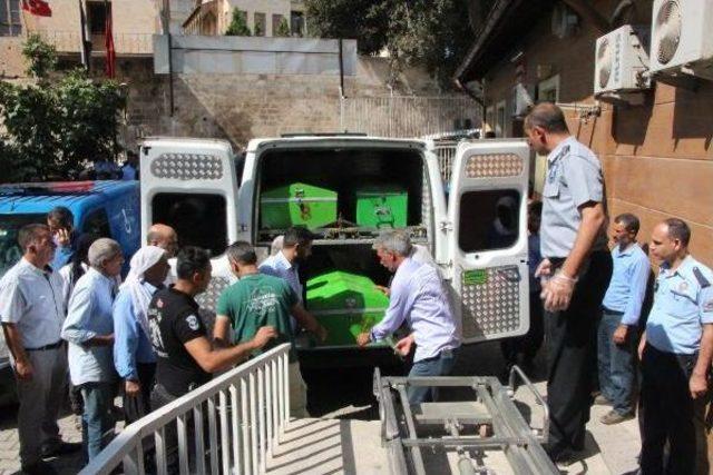 Servis Minib&uuml;s&uuml;yle &Ccedil;arpışan Motosikletteki 2 Kişi &Ouml;ld&uuml; 1