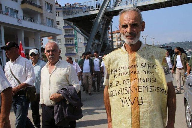 Chp&rsquo;nin D&uuml;zenlediği &ldquo;fındıkta Adalet&rdquo; Y&uuml;r&uuml;y&uuml;ş&uuml; 2. G&uuml;n&uuml;nde S&uuml;r&uuml;yor 2