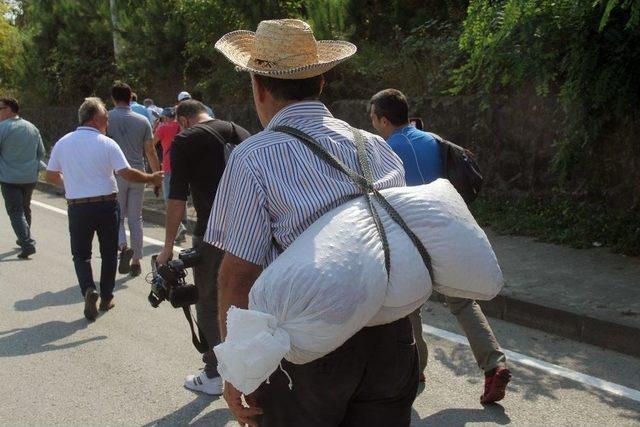 Chp&rsquo;nin D&uuml;zenlediği &ldquo;fındıkta Adalet&rdquo; Y&uuml;r&uuml;y&uuml;ş&uuml; 2. G&uuml;n&uuml;nde S&uuml;r&uuml;yor 3