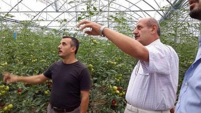 Rize Eski Belediye Başkanı Bakırcı Hakkında Çıkan Haberlerden Rahatsız