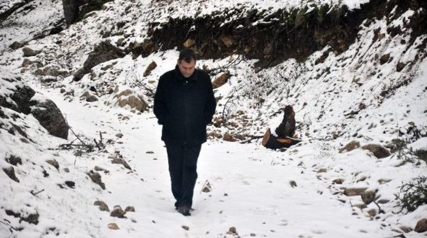 (özel Haber) Kar Görmek İçin Yaylaya Çıktılar