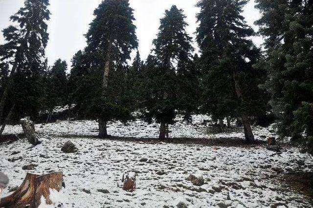 (özel Haber) Kar Görmek İçin Yaylaya Çıktılar