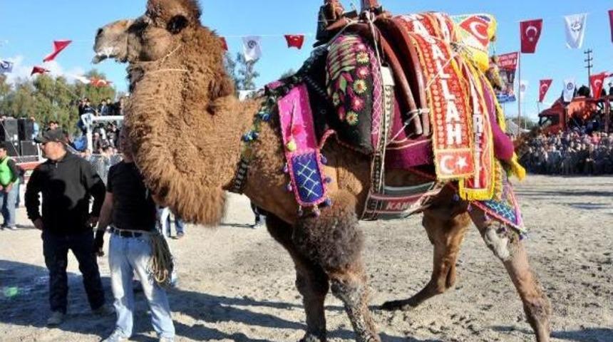 Develer Eğitim İ&ccedil;in G&uuml;reşti