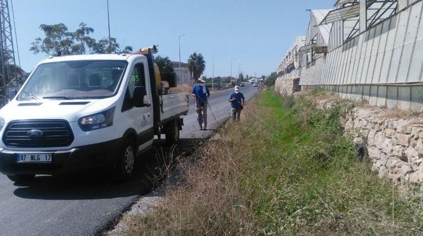 Karasinekle M&uuml;cadele &Ccedil;alışmaları