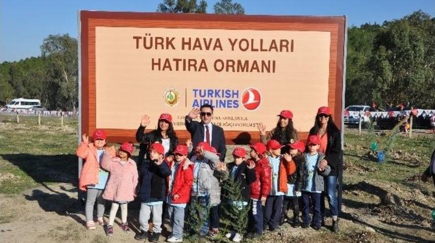 Minikler Fidan Dikti