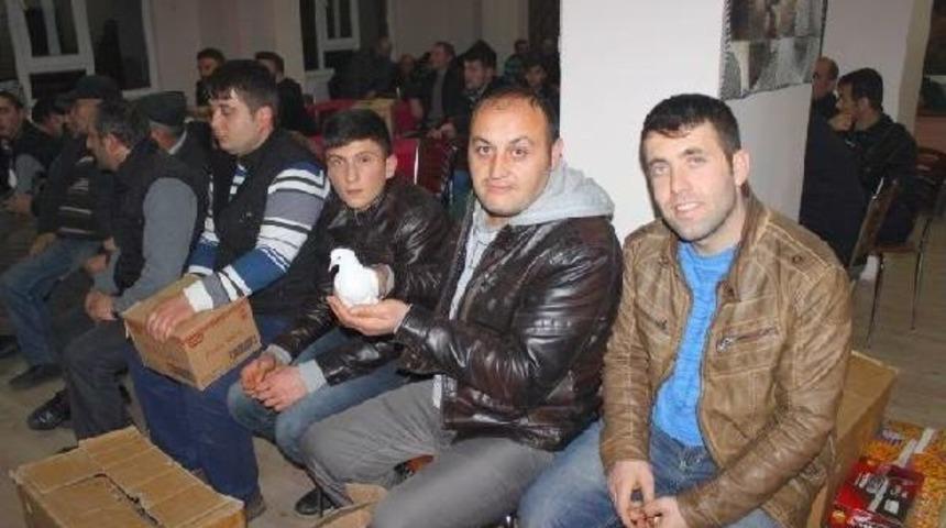 &Ccedil;orum&rsquo;Da G&uuml;vercin Satışı