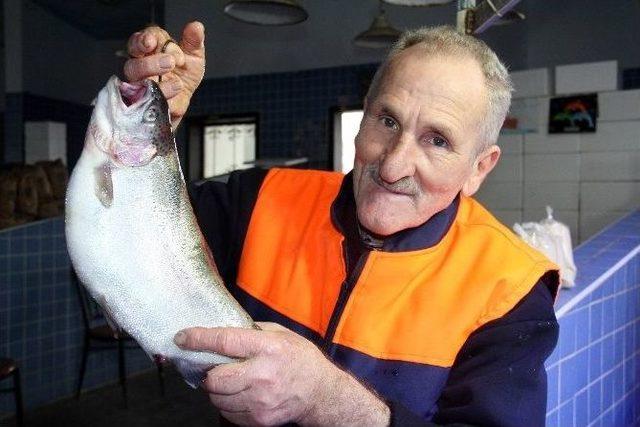 Hamsi Gitti, Balık Fiyatları Arttı