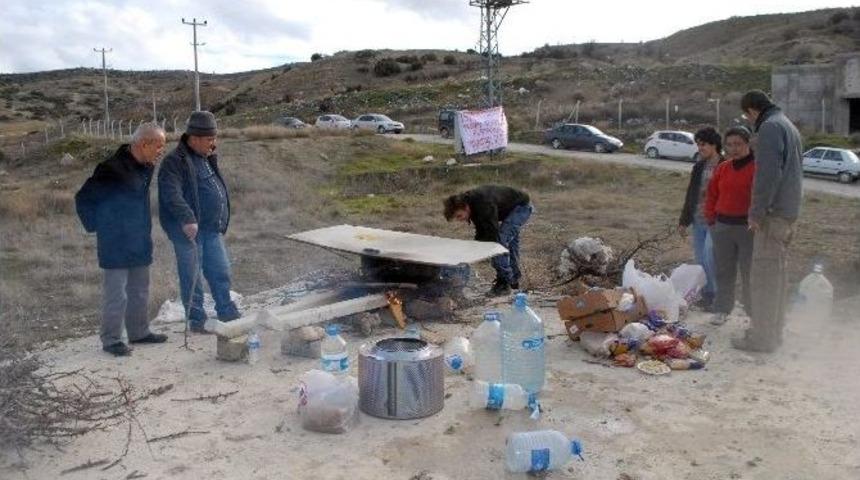 Sosyal Medya &Ouml;rg&uuml;tlenmesi Bu Defa Sokak Hayvanların İmdadına Yetişti