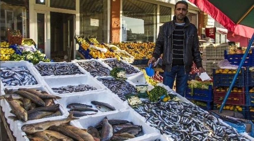 Taze Balıklar Tezgahlardaki Yerini Aldı