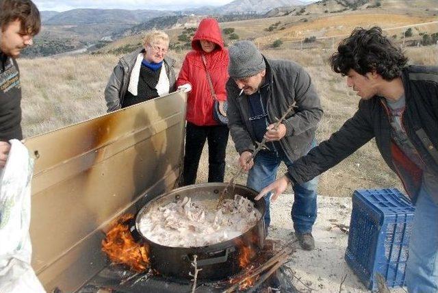 Sosyal Medya Örgütlenmesi Bu Defa Sokak Hayvanların İmdadına Yetişti