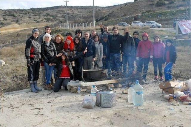 Sosyal Medya Örgütlenmesi Bu Defa Sokak Hayvanların İmdadına Yetişti