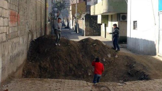 Cizre'de Hayat Normale Döndü