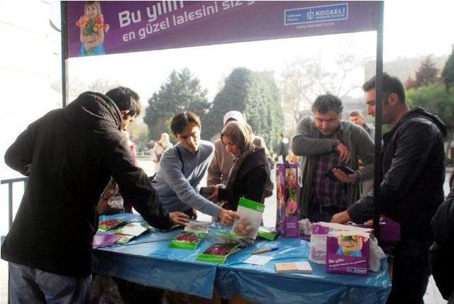 Kocaeli&rsquo;de Lale Satışları Başlıyor 1