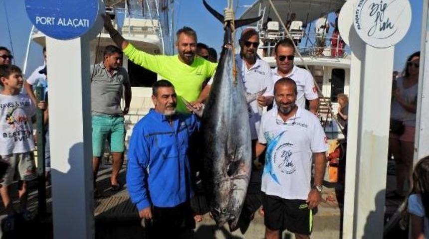 Ala&ccedil;atı'daki Yarışmada Tuttukları Balıkları Denize Geri Bıraktılar