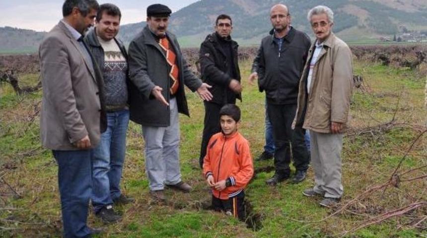 İslahiye'de &Uuml;z&uuml;m Bağlarındaki Yarıklar Korkutuyor