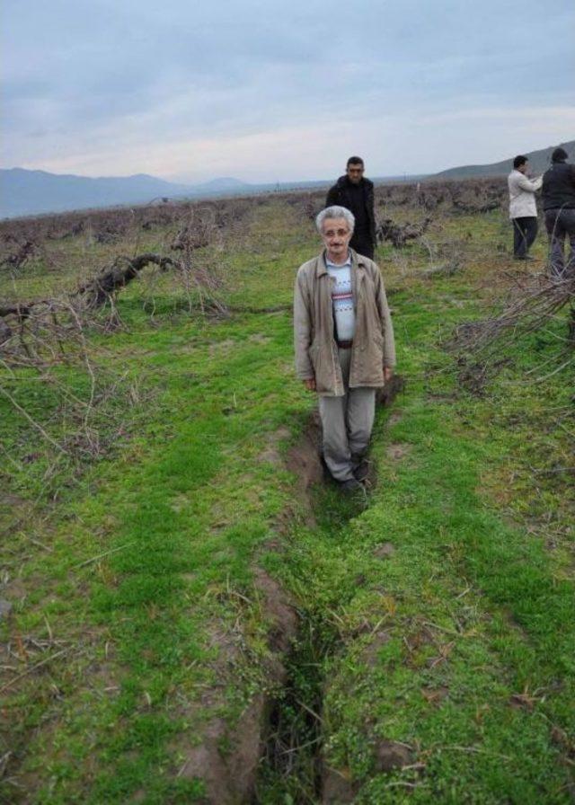 İslahiye'de Üzüm Bağlarındaki Yarıklar Korkutuyor