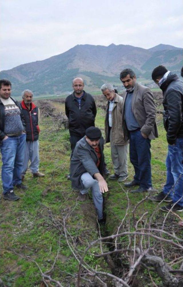 İslahiye'de Üzüm Bağlarındaki Yarıklar Korkutuyor