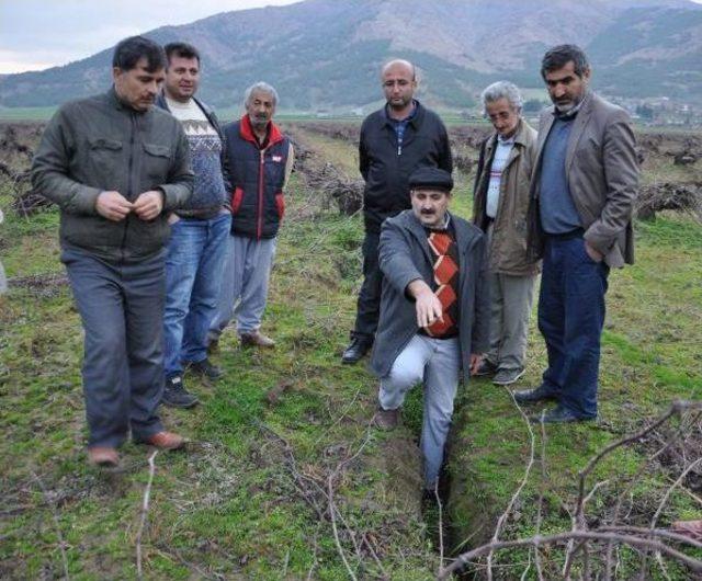 İslahiye'de Üzüm Bağlarındaki Yarıklar Korkutuyor