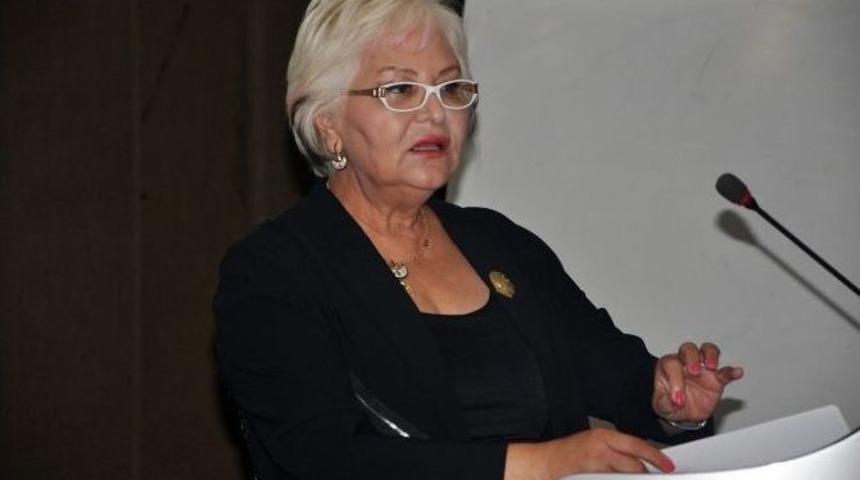 Cerrahoğlu&rsquo;ndan &lsquo;g&uuml;mr&uuml;k M&uuml;şavirliği&rsquo; Semineri