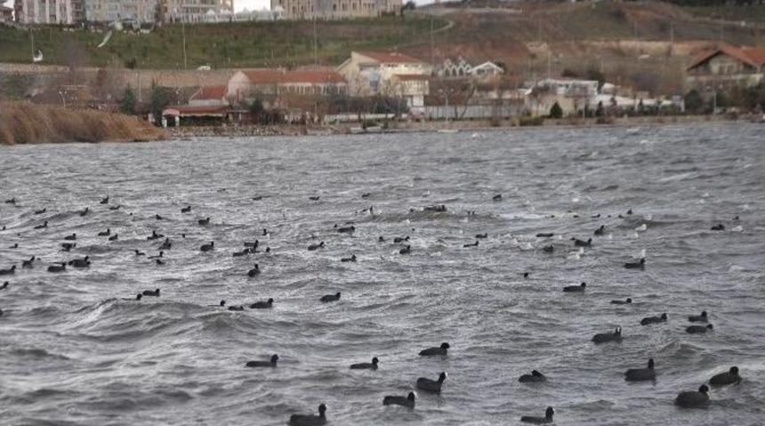 G&ouml;lbaşı&rsquo;nda Şiddetli Fırtına Ve Lodos Etkili Oldu